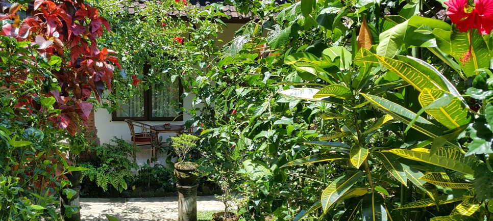 Stay at Rumah Jepun, Ubud, Bali  Characterful riverside 