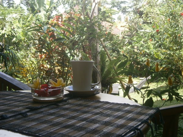 View of the tropical garden